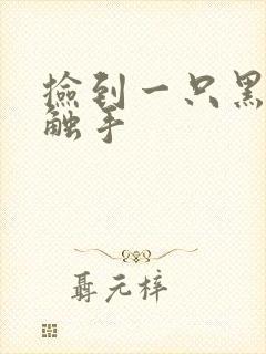 捡到一只黑心小触手