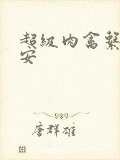 超级肉禽系统保安