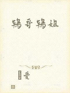 鸨哥鸨姐