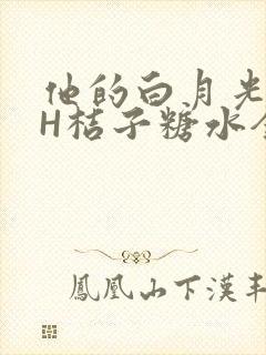 他的白月光HVH桔子糖水全文
