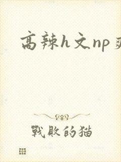 高辣h文np爽