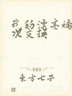 我的漂亮娇妻初次交换