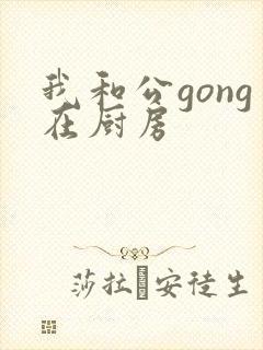 我和公gong在厨房