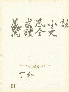 凤求凰小说免费阅读全文