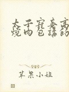 太子宠妾高肉红烧肉包讲的什么