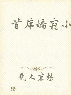 首席娇宠小情人