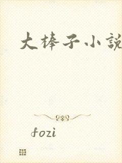 大棒子小说
