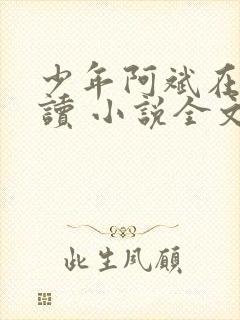 少年阿斌在线阅读 小说全文免费