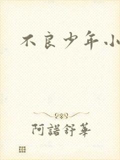 不良少年小说