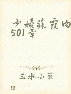 少妇苏霞肉欲第501章