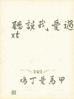 听说我爱过你txt