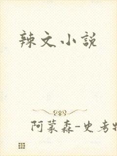 辣文小说