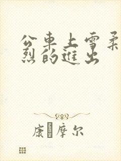 公车上雪柔被猛烈的进出