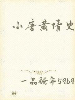 小唐黄倩史