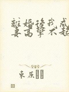 离婚后我成了前妻高攀不起的神