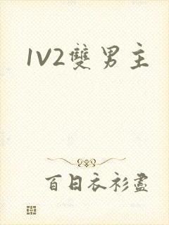 1V2双男主