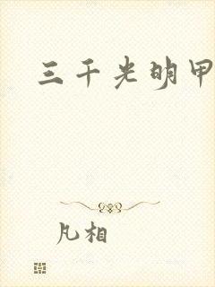 三千光明甲
