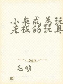 小米成为玩具店老板的玩具