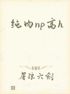 纯肉np高h