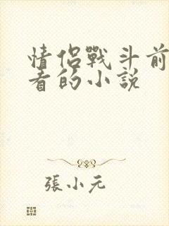 情侣战斗前适合看的小说