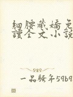 细腰藏娇免费阅读全文小说苏珞浅