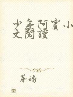 少年阿宾小说全文阅读