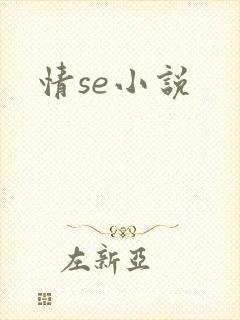 情se小说