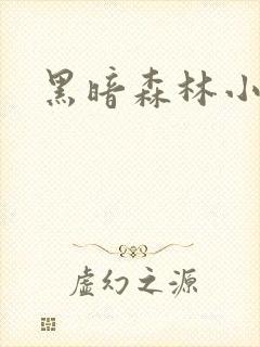 黑暗森林小说