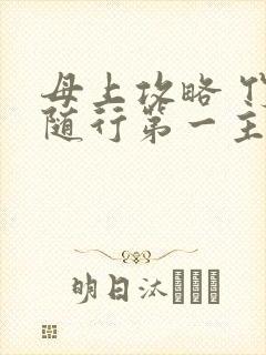 母上攻略 竹影随行第一主板