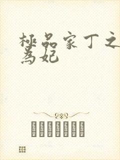 极品家丁之册母为妃