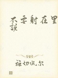 不要射在里面小说