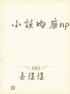 小说肉糜np