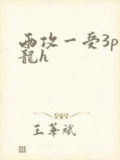两攻一受3p双龙h