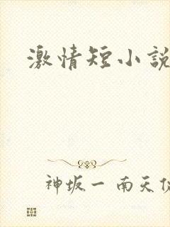 激情短小说