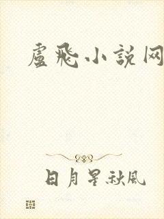 卢飞小说网