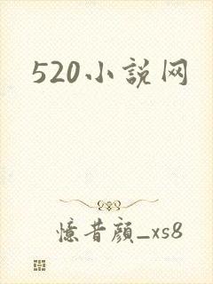 520小说网