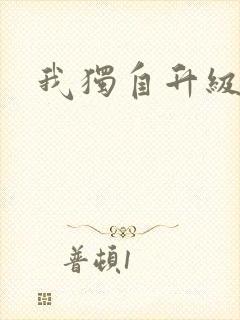 我独自升级小说