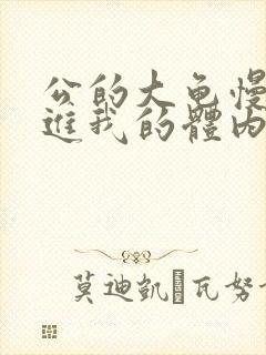 公的大龟慢慢挺进我的体内