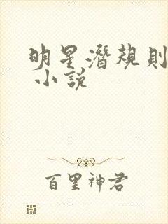 明星潜规则之皇 小说