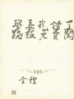 学长我错了 跷跷板免费阅读