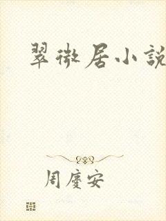 翠微居小说