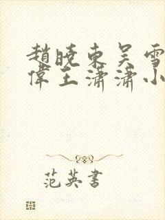 赵晓东吴雪晴郑伟王潇潇小说