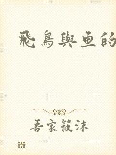 飞鸟与鱼的故事