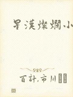 星汉灿烂小说