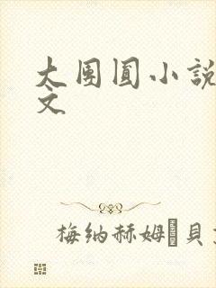 大团圆小说集全文