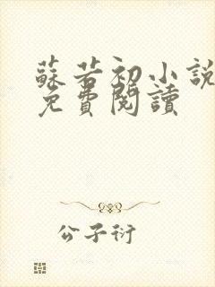 苏若初小说全文免费阅读