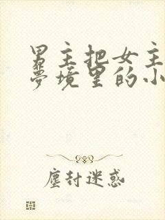 男主把女主拖进梦境里的小说