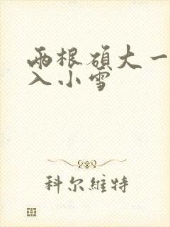 两根硕大一起挤入小雪