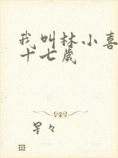 我叫林小喜今年十七岁