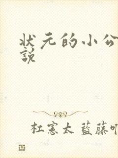 状元的小公主小说